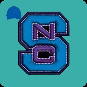 3D Embroidery Digitizing 3D Embroidery Digitizing